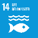 sdg14-1