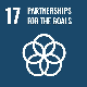 sdg17-1 (1)